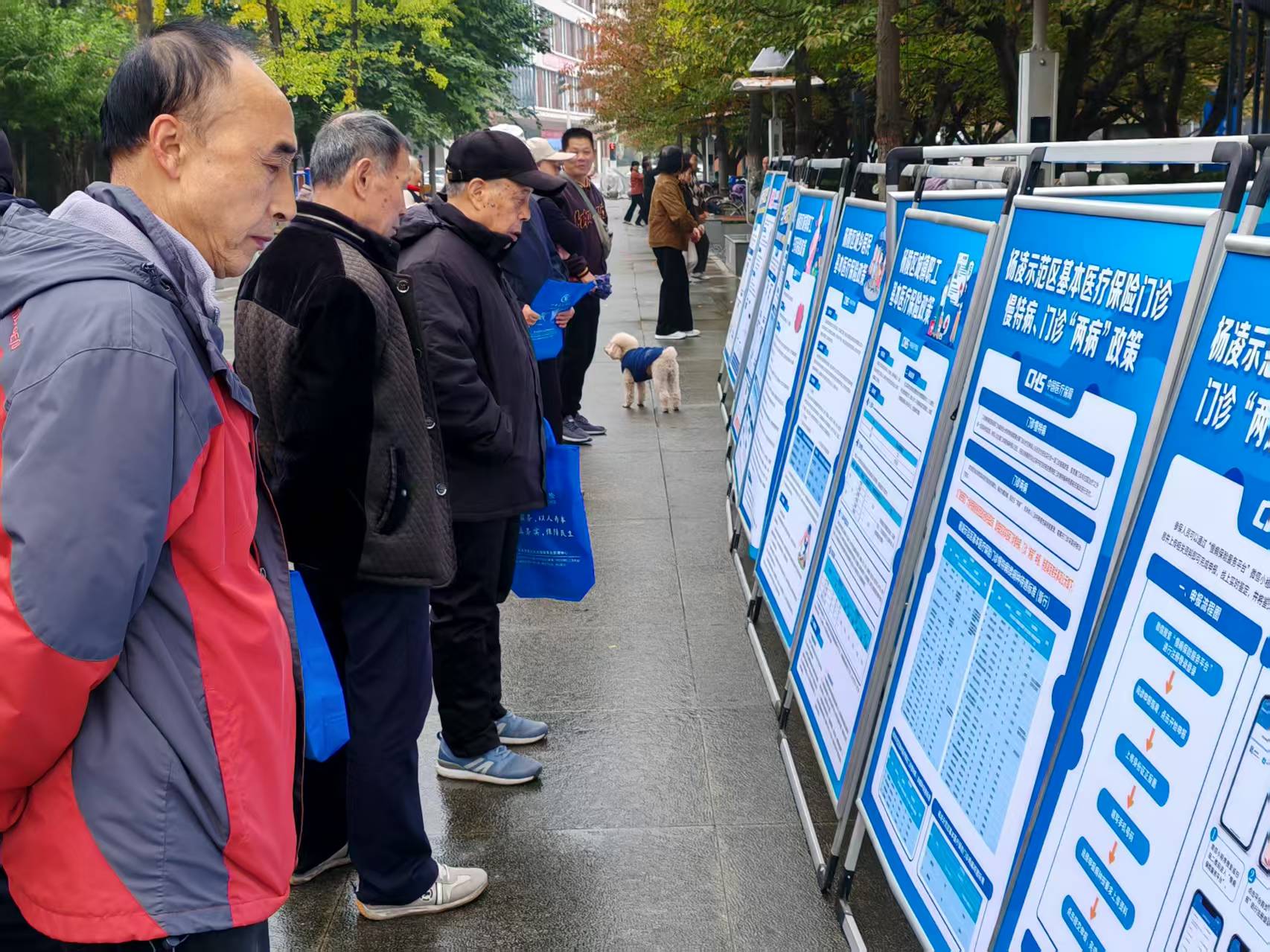 微信图片_20251029084641_86_12.jpg 微信图片_20251029084641_86_12.jpg